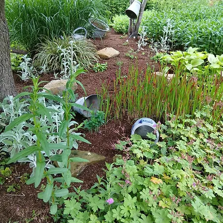 Alfseeglück * Alfhausen