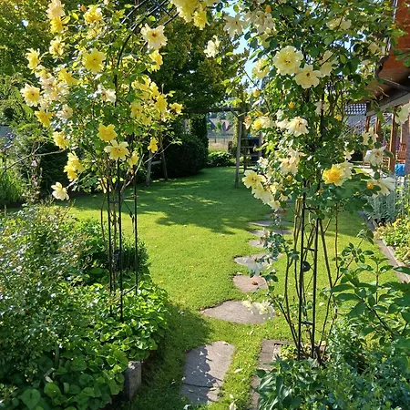 Apartament Alfseeglueck *