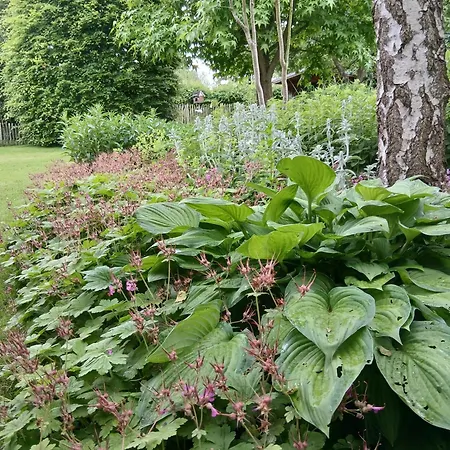Alfseeglück Apartment