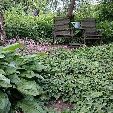 Alfseeglueck Apartament *