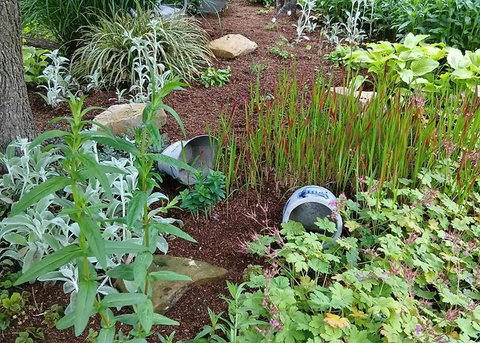 Alfseeglueck * Alfhausen