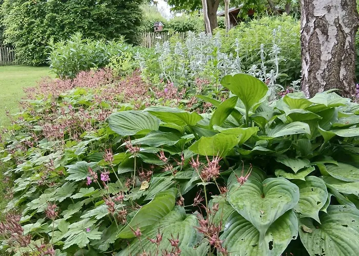 Alfseeglueck Apartament