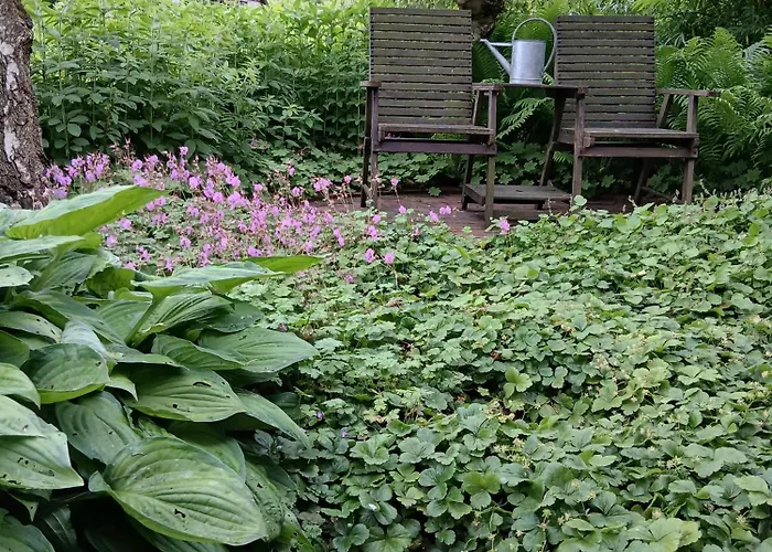 Alfseeglueck Apartament *